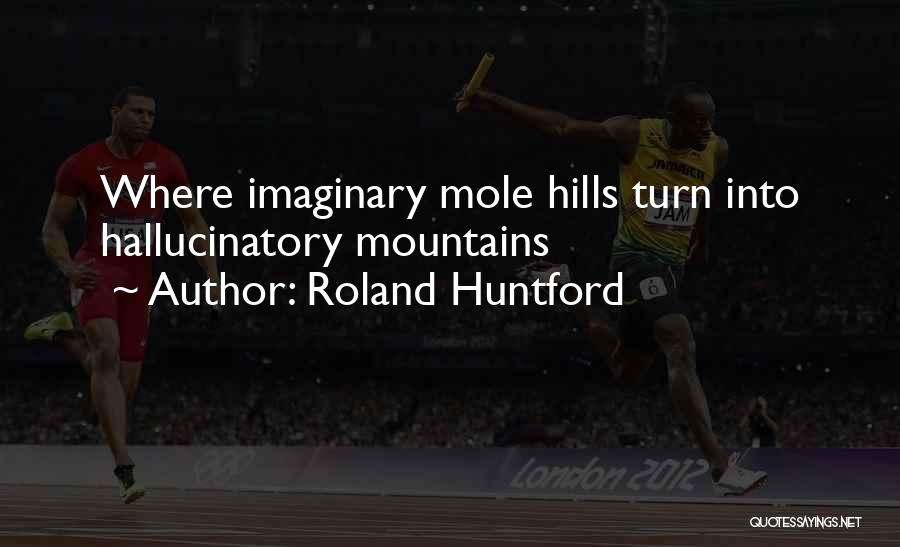 Roland Huntford Quotes: Where Imaginary Mole Hills Turn Into Hallucinatory Mountains