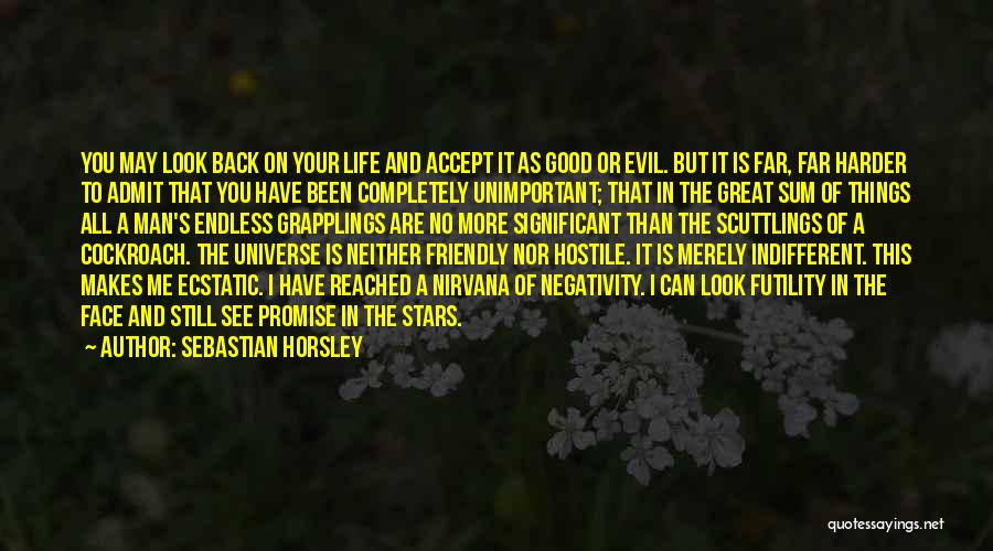 Sebastian Horsley Quotes: You May Look Back On Your Life And Accept It As Good Or Evil. But It Is Far, Far Harder