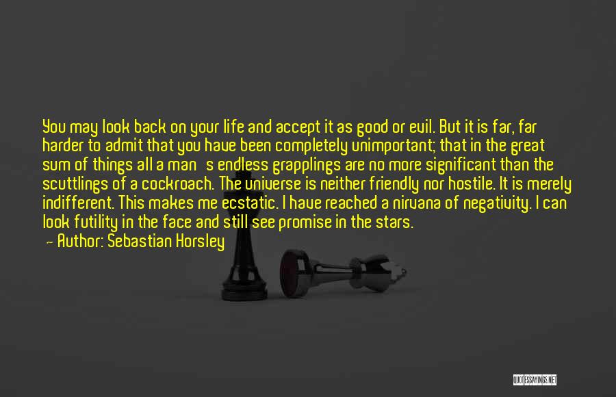 Sebastian Horsley Quotes: You May Look Back On Your Life And Accept It As Good Or Evil. But It Is Far, Far Harder