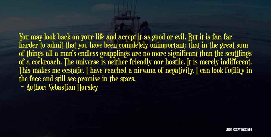 Sebastian Horsley Quotes: You May Look Back On Your Life And Accept It As Good Or Evil. But It Is Far, Far Harder