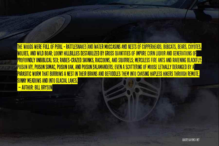 Bill Bryson Quotes: The Woods Were Full Of Peril - Rattlesnakes And Water Moccasins And Nests Of Copperheads; Bobcats, Bears, Coyotes, Wolves, And
