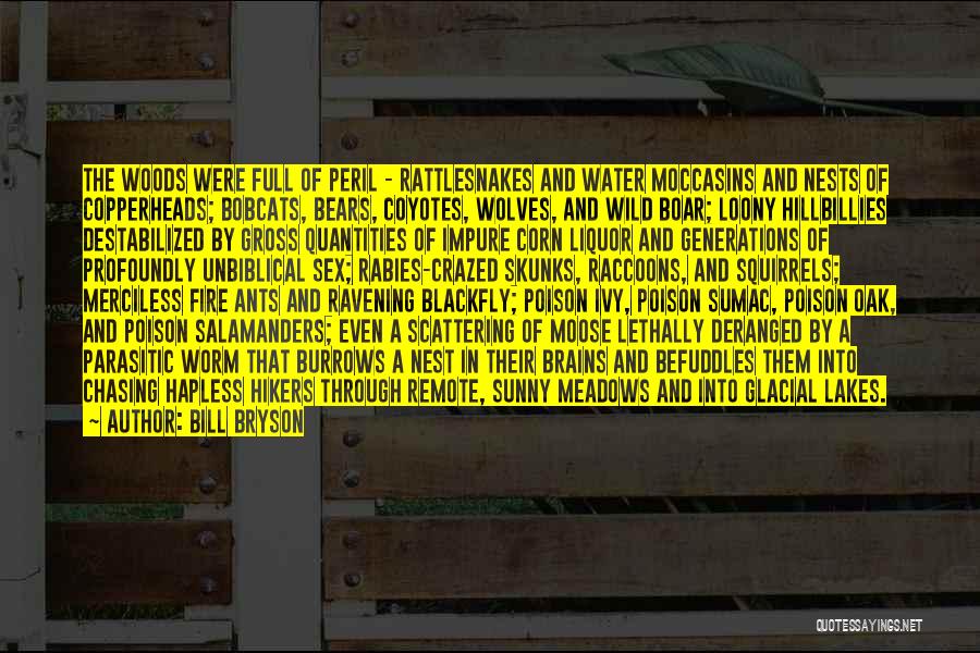 Bill Bryson Quotes: The Woods Were Full Of Peril - Rattlesnakes And Water Moccasins And Nests Of Copperheads; Bobcats, Bears, Coyotes, Wolves, And