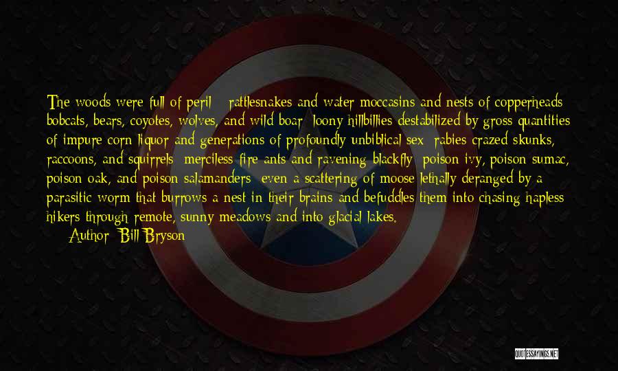 Bill Bryson Quotes: The Woods Were Full Of Peril - Rattlesnakes And Water Moccasins And Nests Of Copperheads; Bobcats, Bears, Coyotes, Wolves, And