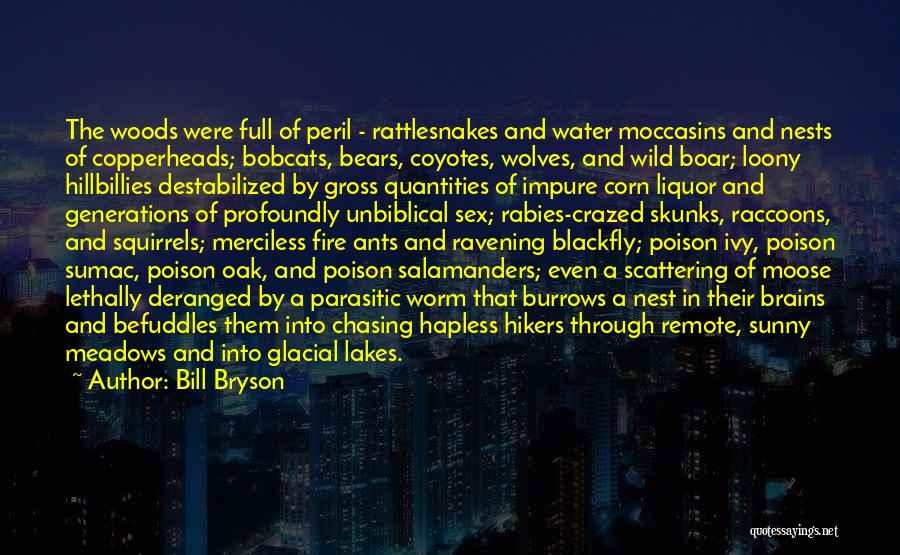 Bill Bryson Quotes: The Woods Were Full Of Peril - Rattlesnakes And Water Moccasins And Nests Of Copperheads; Bobcats, Bears, Coyotes, Wolves, And