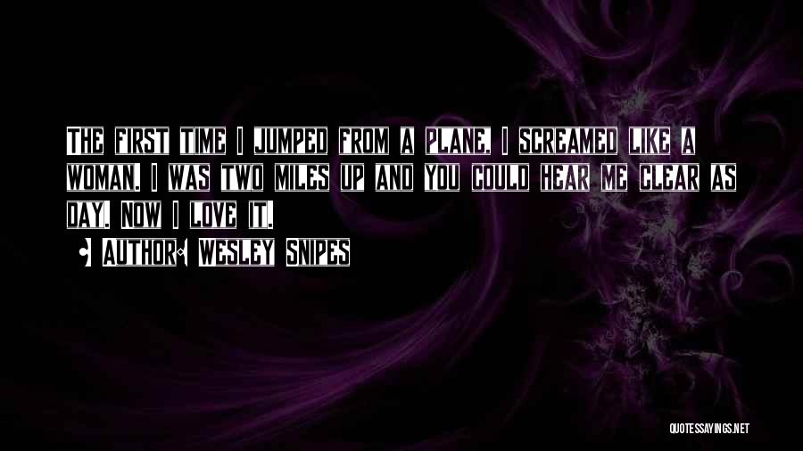 Wesley Snipes Quotes: The First Time I Jumped From A Plane, I Screamed Like A Woman. I Was Two Miles Up And You
