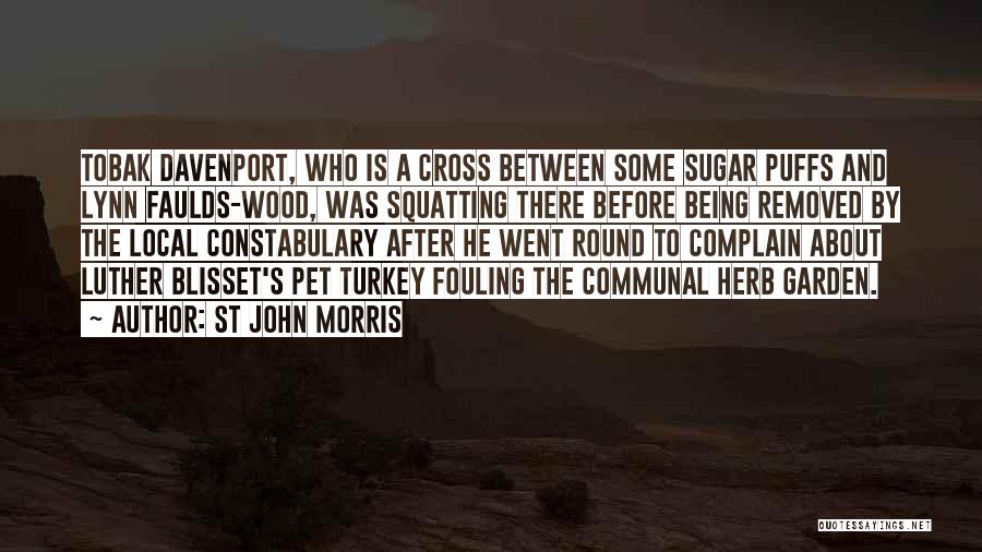 St John Morris Quotes: Tobak Davenport, Who Is A Cross Between Some Sugar Puffs And Lynn Faulds-wood, Was Squatting There Before Being Removed By