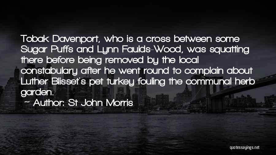 St John Morris Quotes: Tobak Davenport, Who Is A Cross Between Some Sugar Puffs And Lynn Faulds-wood, Was Squatting There Before Being Removed By