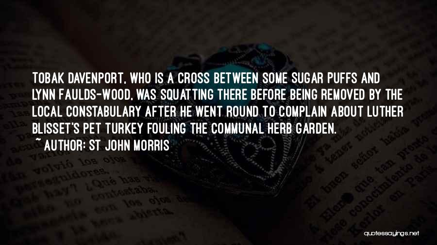 St John Morris Quotes: Tobak Davenport, Who Is A Cross Between Some Sugar Puffs And Lynn Faulds-wood, Was Squatting There Before Being Removed By