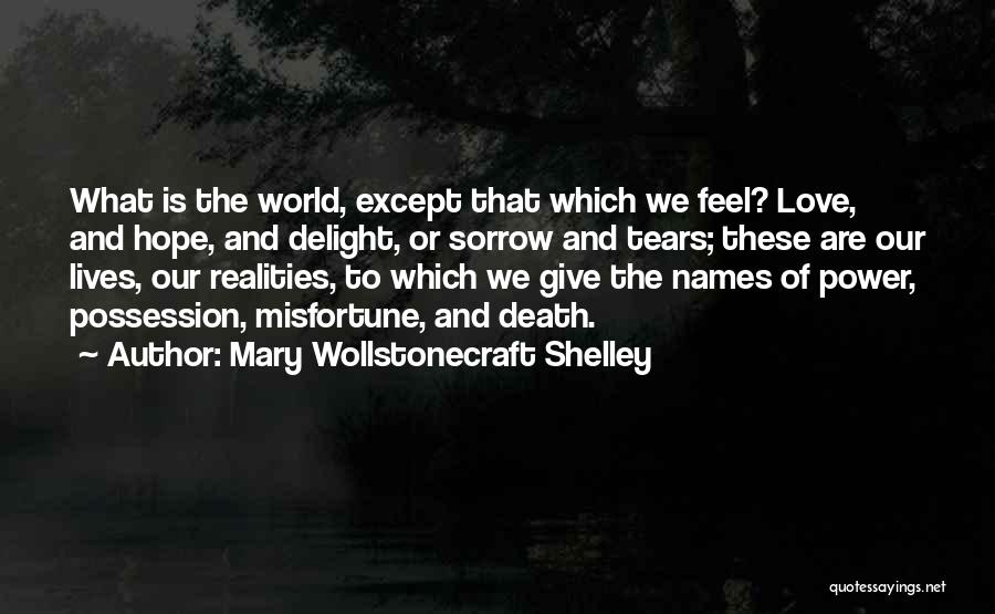 Mary Wollstonecraft Shelley Quotes: What Is The World, Except That Which We Feel? Love, And Hope, And Delight, Or Sorrow And Tears; These Are