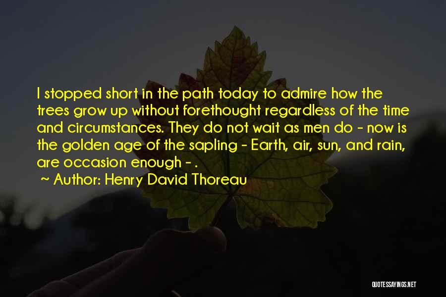 Henry David Thoreau Quotes: I Stopped Short In The Path Today To Admire How The Trees Grow Up Without Forethought Regardless Of The Time