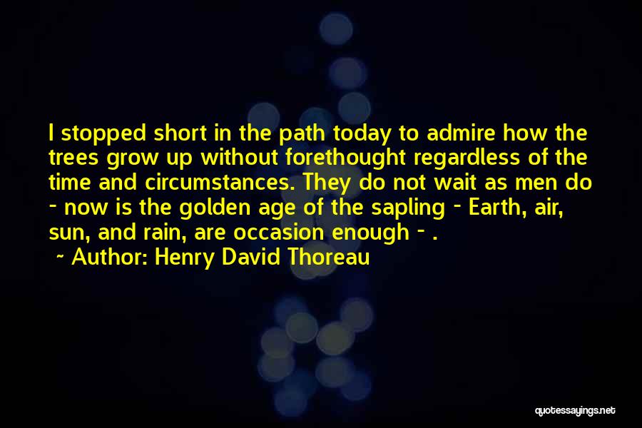 Henry David Thoreau Quotes: I Stopped Short In The Path Today To Admire How The Trees Grow Up Without Forethought Regardless Of The Time