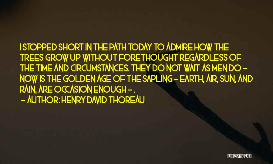 Henry David Thoreau Quotes: I Stopped Short In The Path Today To Admire How The Trees Grow Up Without Forethought Regardless Of The Time