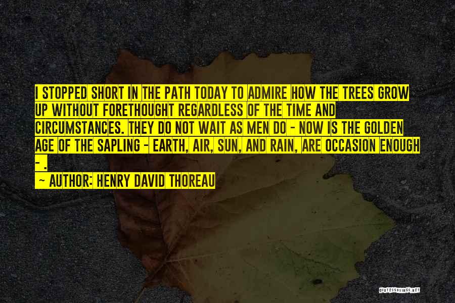 Henry David Thoreau Quotes: I Stopped Short In The Path Today To Admire How The Trees Grow Up Without Forethought Regardless Of The Time