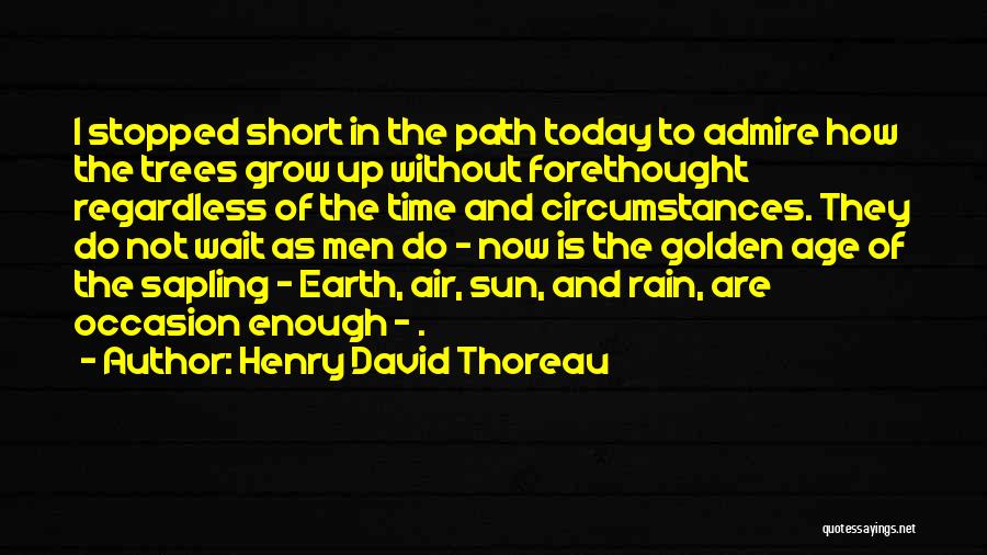 Henry David Thoreau Quotes: I Stopped Short In The Path Today To Admire How The Trees Grow Up Without Forethought Regardless Of The Time