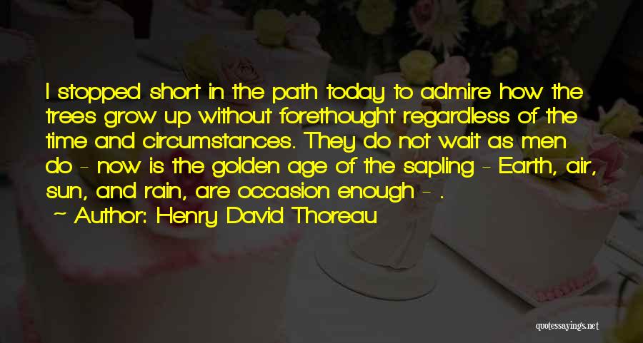 Henry David Thoreau Quotes: I Stopped Short In The Path Today To Admire How The Trees Grow Up Without Forethought Regardless Of The Time