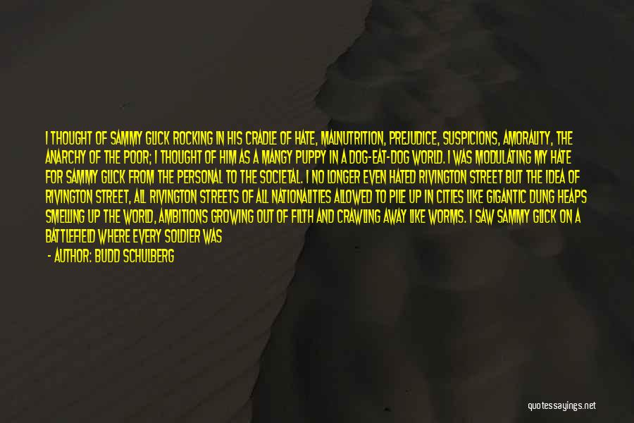 Budd Schulberg Quotes: I Thought Of Sammy Glick Rocking In His Cradle Of Hate, Malnutrition, Prejudice, Suspicions, Amorality, The Anarchy Of The Poor;