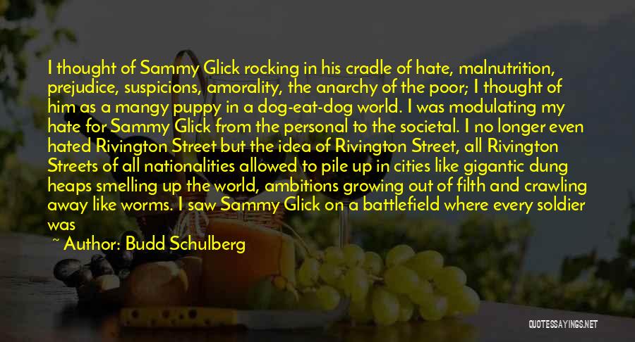 Budd Schulberg Quotes: I Thought Of Sammy Glick Rocking In His Cradle Of Hate, Malnutrition, Prejudice, Suspicions, Amorality, The Anarchy Of The Poor;