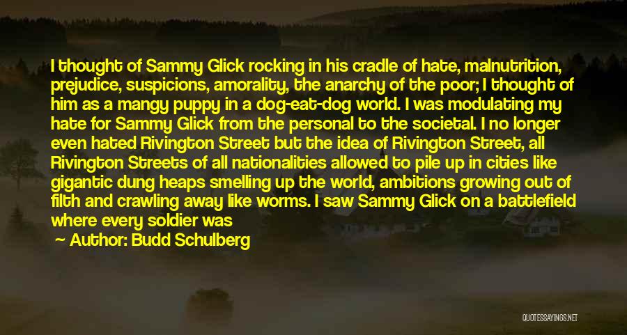 Budd Schulberg Quotes: I Thought Of Sammy Glick Rocking In His Cradle Of Hate, Malnutrition, Prejudice, Suspicions, Amorality, The Anarchy Of The Poor;