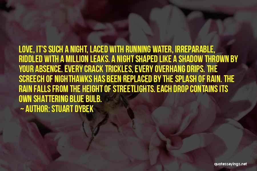Stuart Dybek Quotes: Love, It's Such A Night, Laced With Running Water, Irreparable, Riddled With A Million Leaks. A Night Shaped Like A