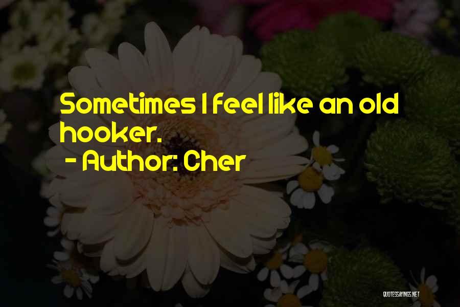 Cher Quotes: Sometimes I Feel Like An Old Hooker.