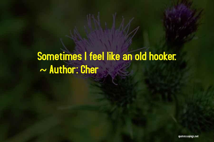 Cher Quotes: Sometimes I Feel Like An Old Hooker.