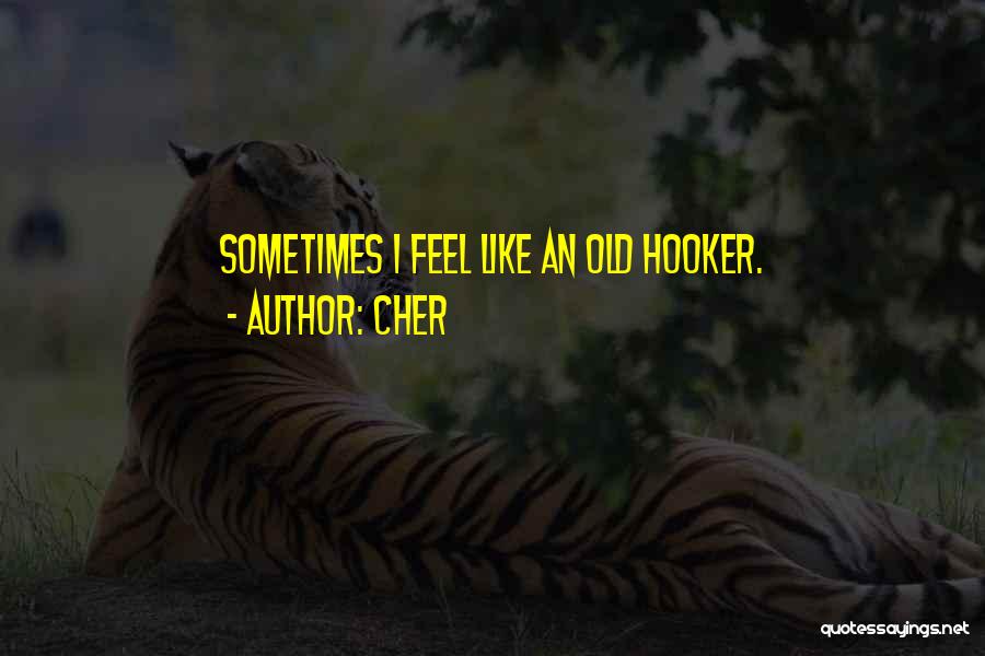 Cher Quotes: Sometimes I Feel Like An Old Hooker.