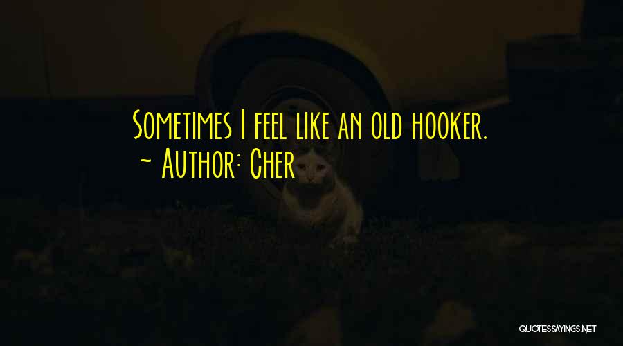 Cher Quotes: Sometimes I Feel Like An Old Hooker.
