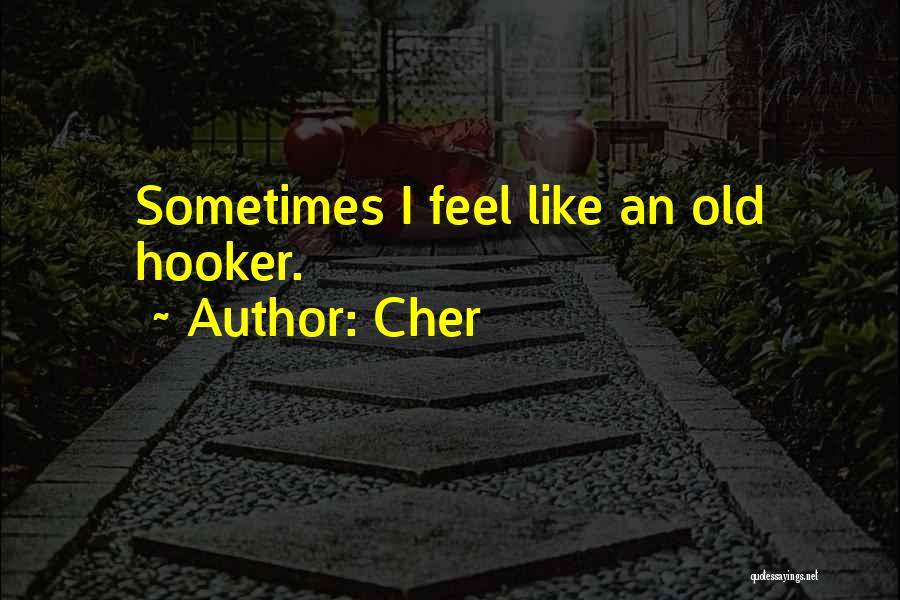 Cher Quotes: Sometimes I Feel Like An Old Hooker.