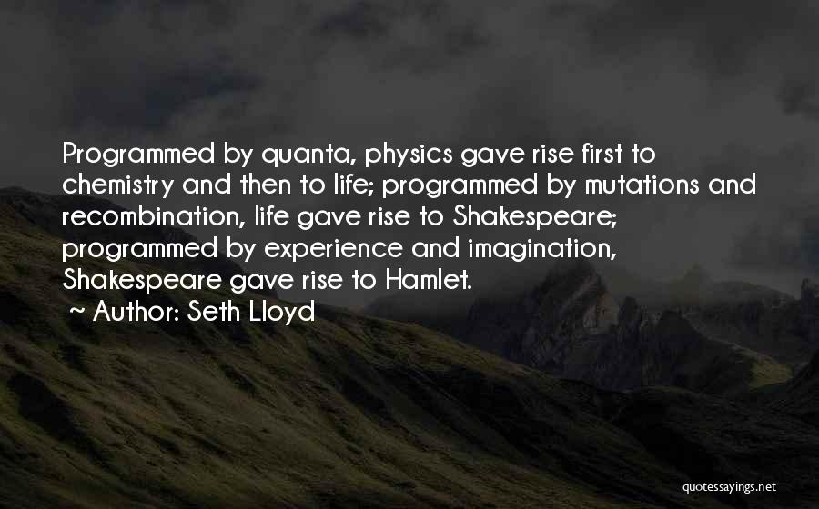 Seth Lloyd Quotes: Programmed By Quanta, Physics Gave Rise First To Chemistry And Then To Life; Programmed By Mutations And Recombination, Life Gave