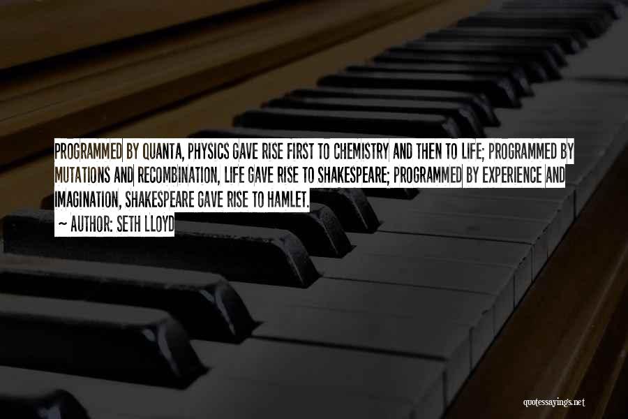 Seth Lloyd Quotes: Programmed By Quanta, Physics Gave Rise First To Chemistry And Then To Life; Programmed By Mutations And Recombination, Life Gave