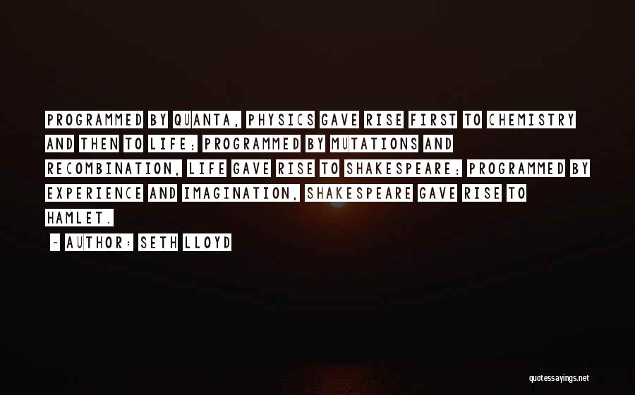 Seth Lloyd Quotes: Programmed By Quanta, Physics Gave Rise First To Chemistry And Then To Life; Programmed By Mutations And Recombination, Life Gave