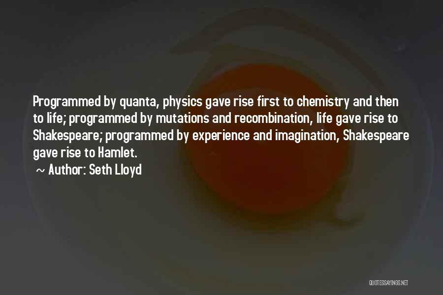 Seth Lloyd Quotes: Programmed By Quanta, Physics Gave Rise First To Chemistry And Then To Life; Programmed By Mutations And Recombination, Life Gave