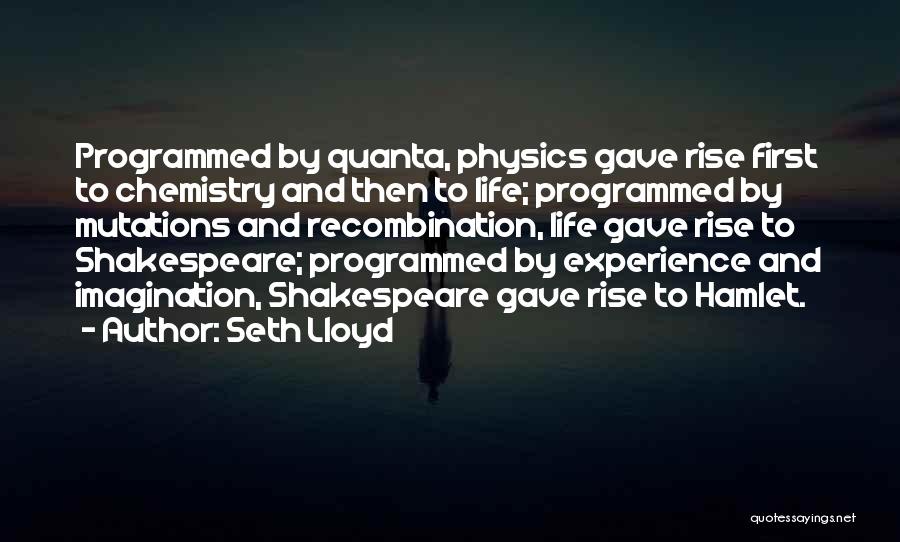 Seth Lloyd Quotes: Programmed By Quanta, Physics Gave Rise First To Chemistry And Then To Life; Programmed By Mutations And Recombination, Life Gave