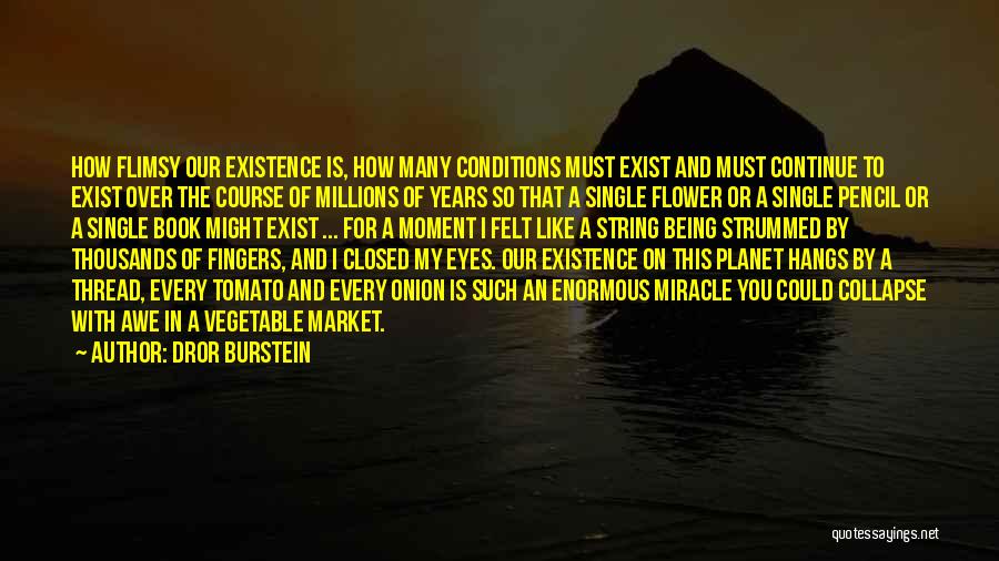 Dror Burstein Quotes: How Flimsy Our Existence Is, How Many Conditions Must Exist And Must Continue To Exist Over The Course Of Millions