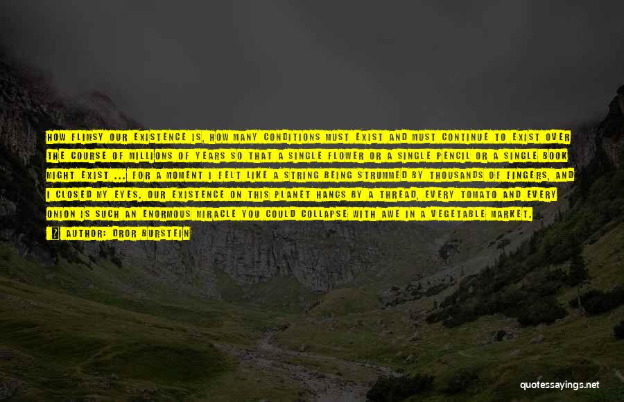 Dror Burstein Quotes: How Flimsy Our Existence Is, How Many Conditions Must Exist And Must Continue To Exist Over The Course Of Millions