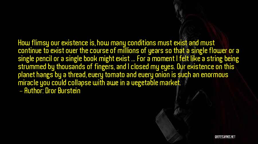 Dror Burstein Quotes: How Flimsy Our Existence Is, How Many Conditions Must Exist And Must Continue To Exist Over The Course Of Millions