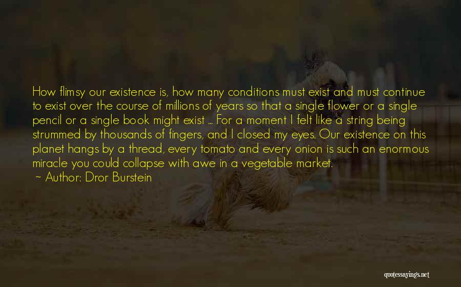 Dror Burstein Quotes: How Flimsy Our Existence Is, How Many Conditions Must Exist And Must Continue To Exist Over The Course Of Millions