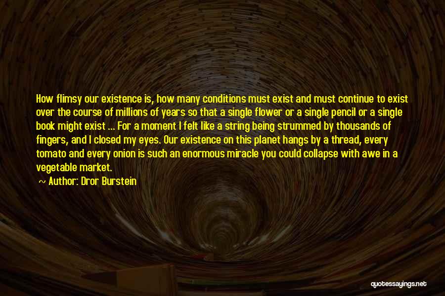 Dror Burstein Quotes: How Flimsy Our Existence Is, How Many Conditions Must Exist And Must Continue To Exist Over The Course Of Millions