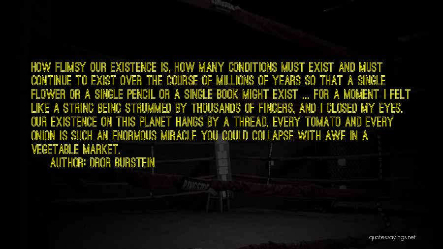 Dror Burstein Quotes: How Flimsy Our Existence Is, How Many Conditions Must Exist And Must Continue To Exist Over The Course Of Millions