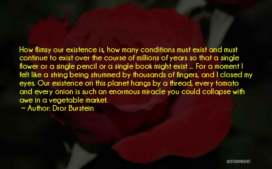 Dror Burstein Quotes: How Flimsy Our Existence Is, How Many Conditions Must Exist And Must Continue To Exist Over The Course Of Millions