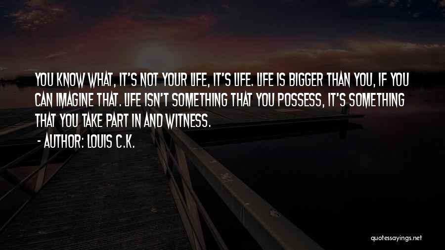 Louis C.K. Quotes: You Know What, It's Not Your Life, It's Life. Life Is Bigger Than You, If You Can Imagine That. Life