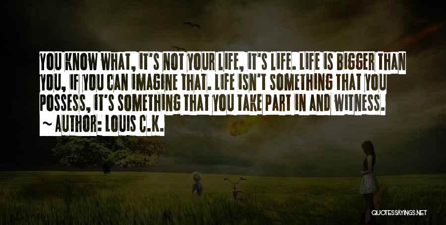 Louis C.K. Quotes: You Know What, It's Not Your Life, It's Life. Life Is Bigger Than You, If You Can Imagine That. Life