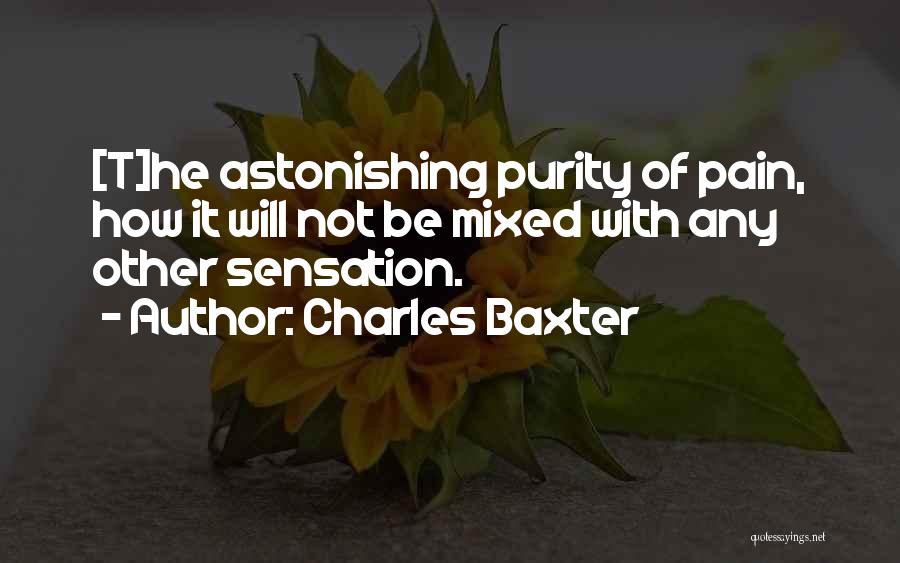 Charles Baxter Quotes: [t]he Astonishing Purity Of Pain, How It Will Not Be Mixed With Any Other Sensation.
