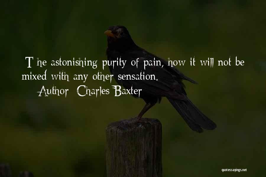 Charles Baxter Quotes: [t]he Astonishing Purity Of Pain, How It Will Not Be Mixed With Any Other Sensation.