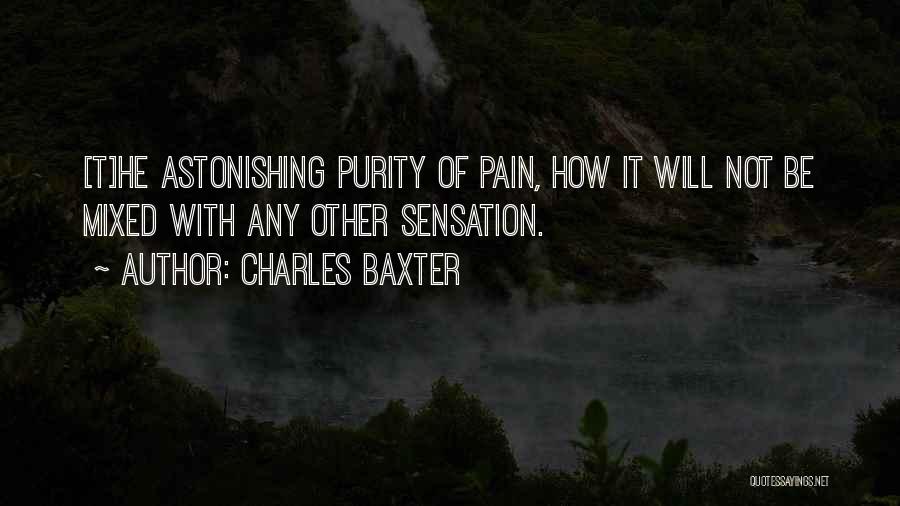 Charles Baxter Quotes: [t]he Astonishing Purity Of Pain, How It Will Not Be Mixed With Any Other Sensation.