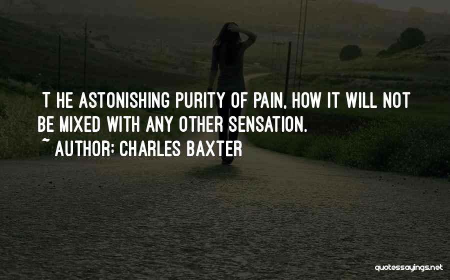 Charles Baxter Quotes: [t]he Astonishing Purity Of Pain, How It Will Not Be Mixed With Any Other Sensation.