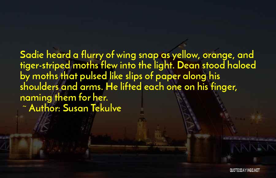Susan Tekulve Quotes: Sadie Heard A Flurry Of Wing Snap As Yellow, Orange, And Tiger-striped Moths Flew Into The Light. Dean Stood Haloed
