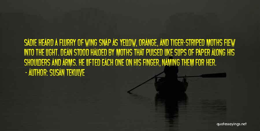 Susan Tekulve Quotes: Sadie Heard A Flurry Of Wing Snap As Yellow, Orange, And Tiger-striped Moths Flew Into The Light. Dean Stood Haloed