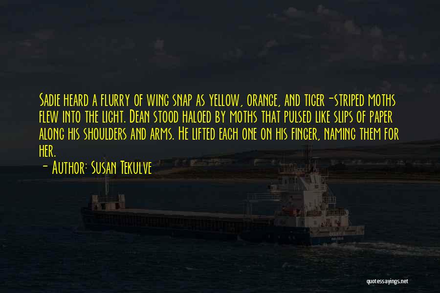 Susan Tekulve Quotes: Sadie Heard A Flurry Of Wing Snap As Yellow, Orange, And Tiger-striped Moths Flew Into The Light. Dean Stood Haloed