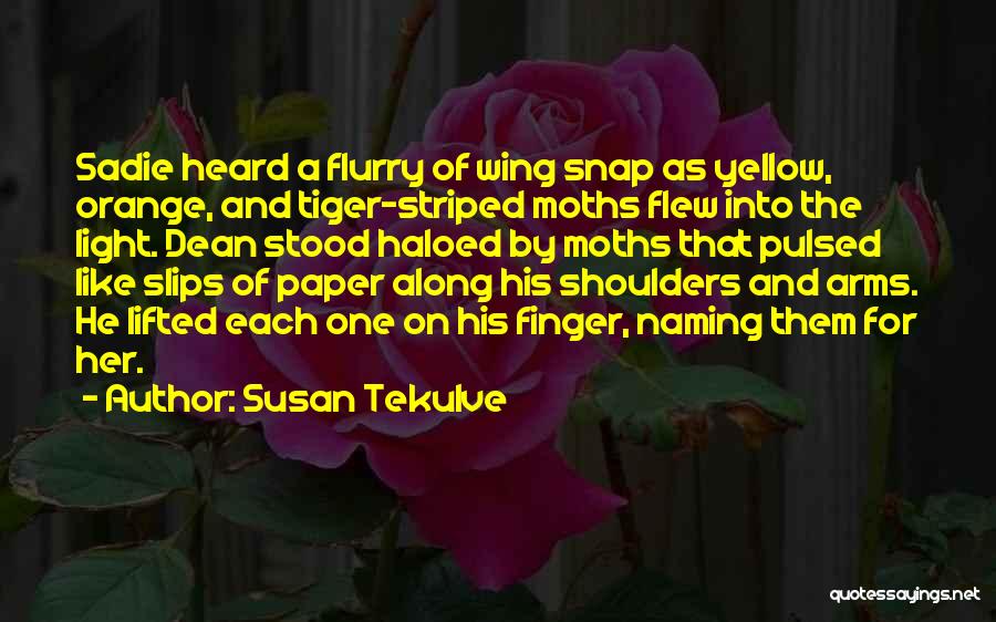 Susan Tekulve Quotes: Sadie Heard A Flurry Of Wing Snap As Yellow, Orange, And Tiger-striped Moths Flew Into The Light. Dean Stood Haloed